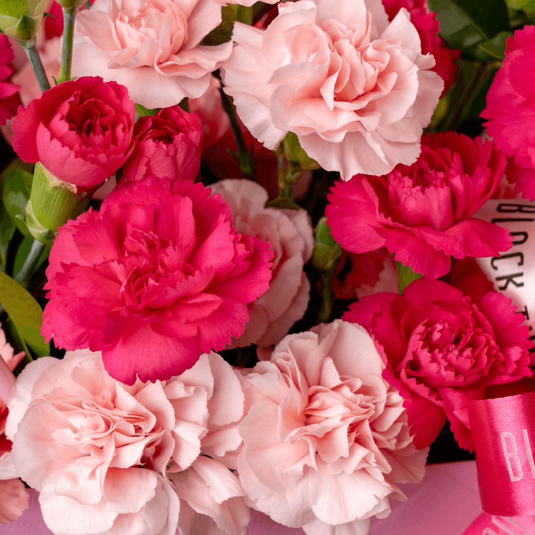 Pink and light pink carnations arranged in a quilted pink flower bag with ribbon details
