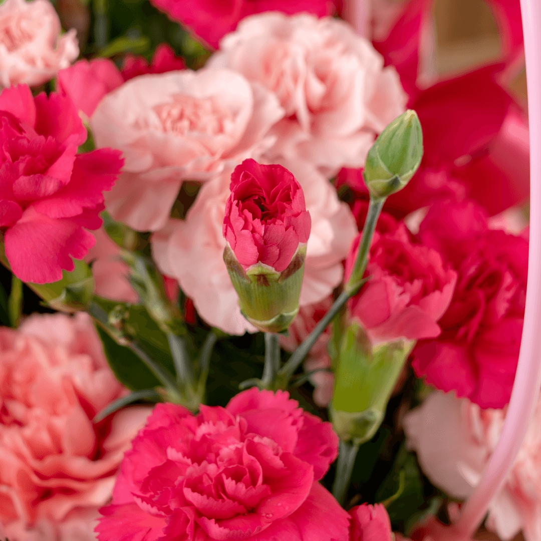 Pink and light pink carnations arranged in a quilted pink flower bag with ribbon details