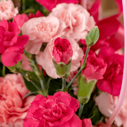 Pink and light pink carnations arranged in a quilted pink flower bag with ribbon details