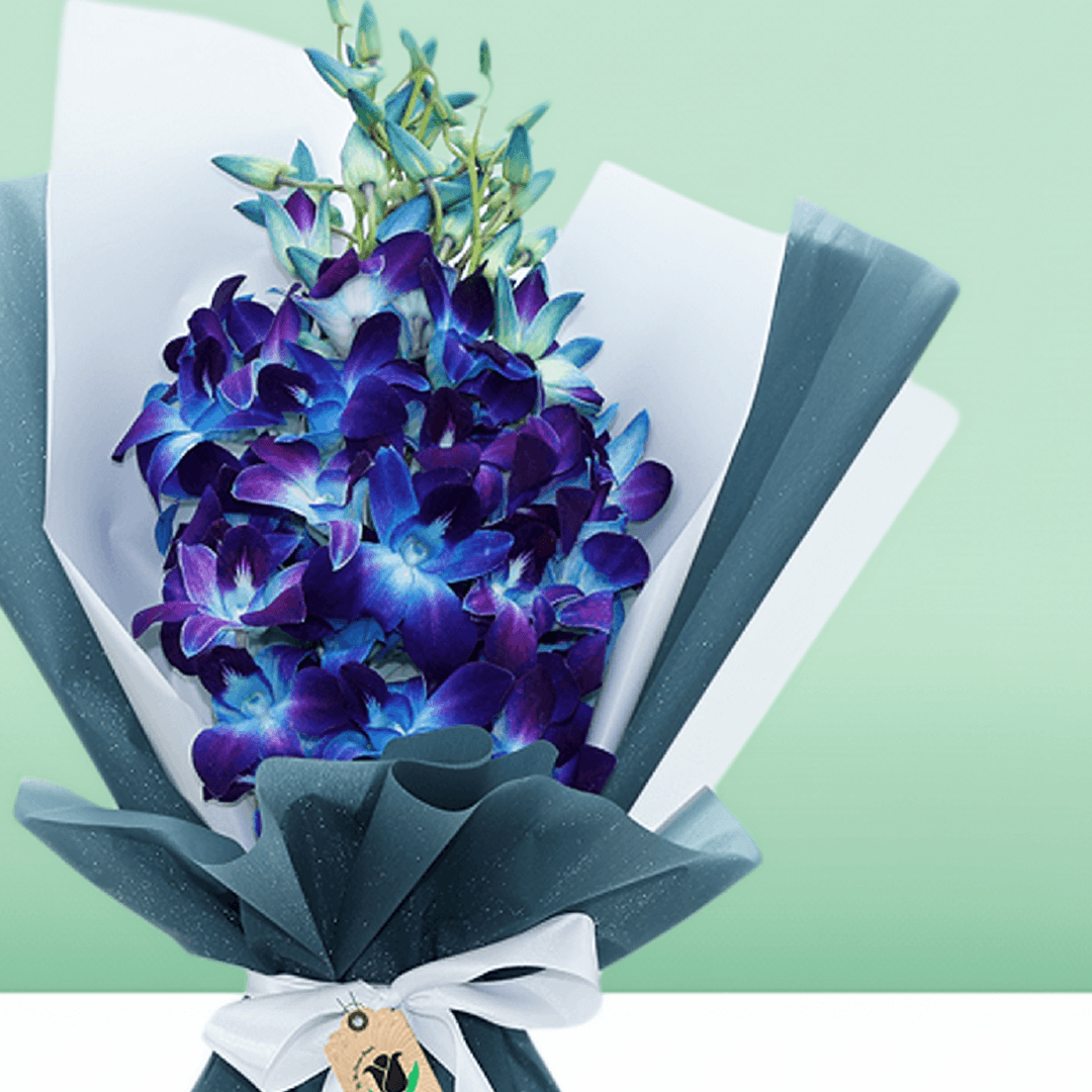 Blue orchid bouquet wrapped in layered blue and white non-woven paper
