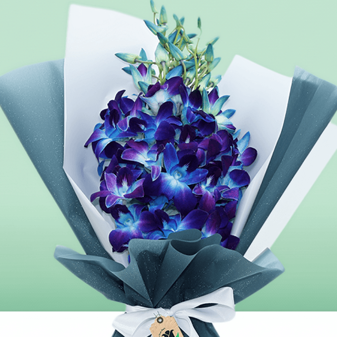 Blue orchid bouquet wrapped in layered blue and white non-woven paper

