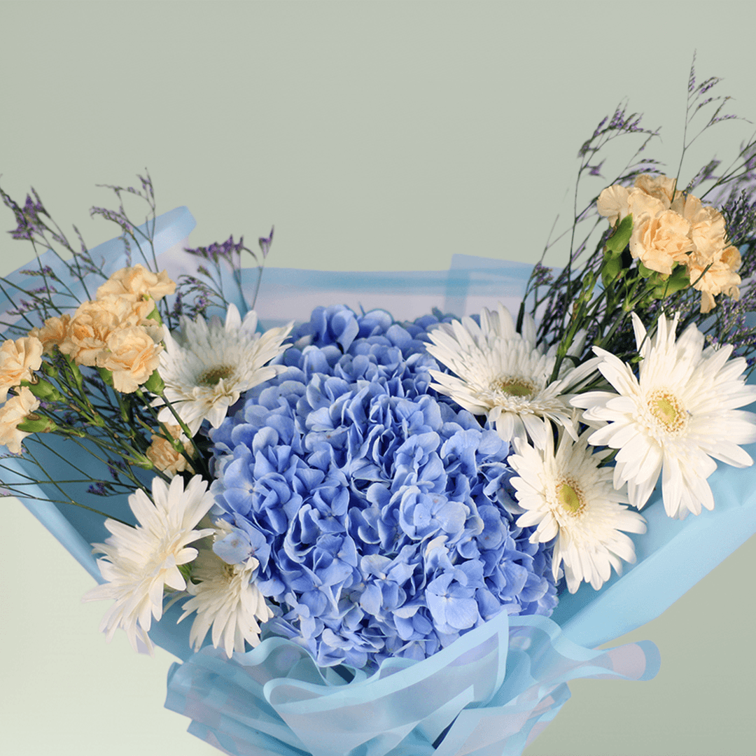 Blue Hydrangea with white Gerberas, cream Carnations and Limonium wrapped in blue non-woven paper.