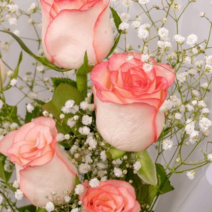 5 light pink rose bouquet with gypso in elegant Korean-style white wrap