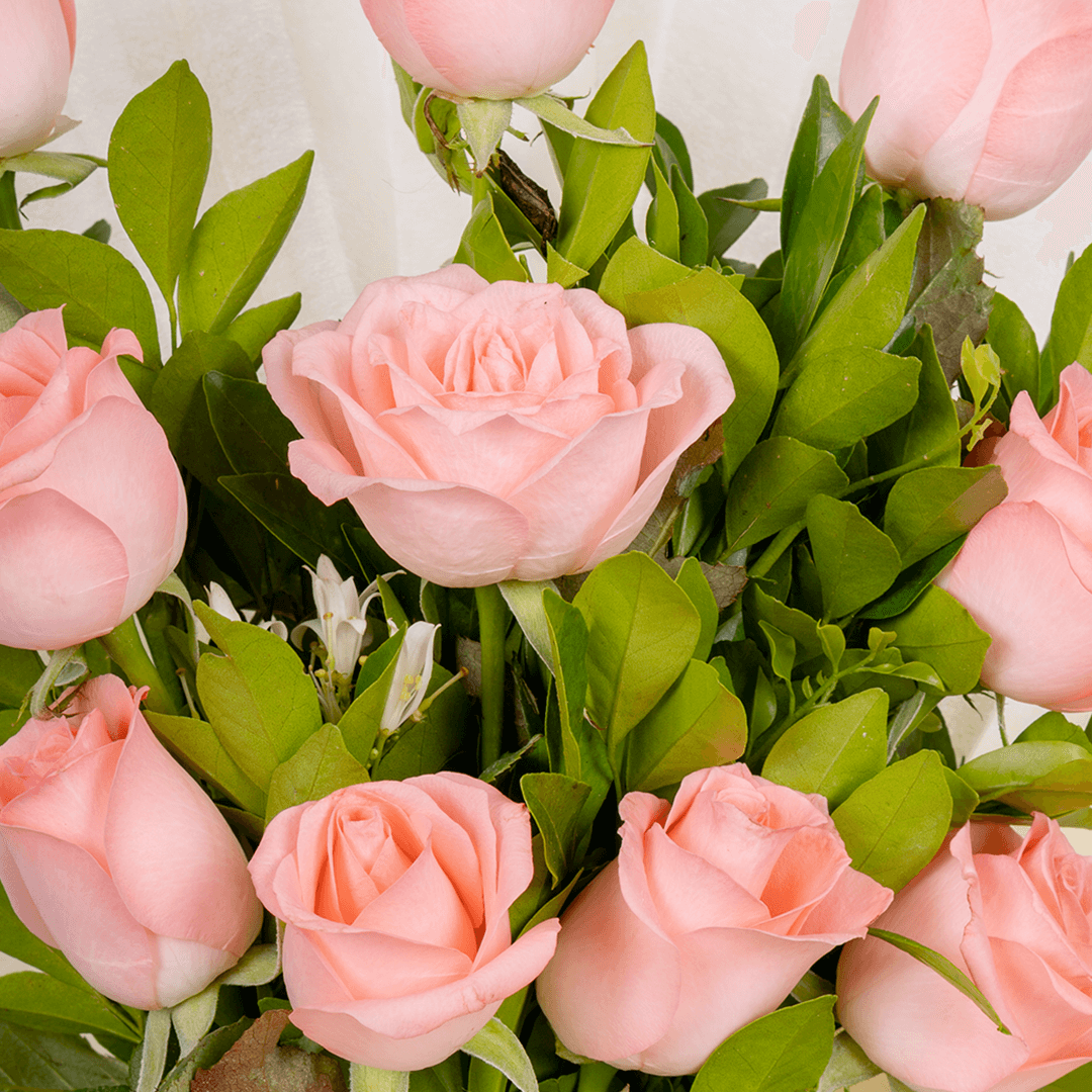 Blush Pink Rose Bouquet arranged with 10 pink roses with fresh green leaves