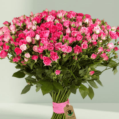 Large hand-tied bouquet of pink spray roses with fresh green foliage
