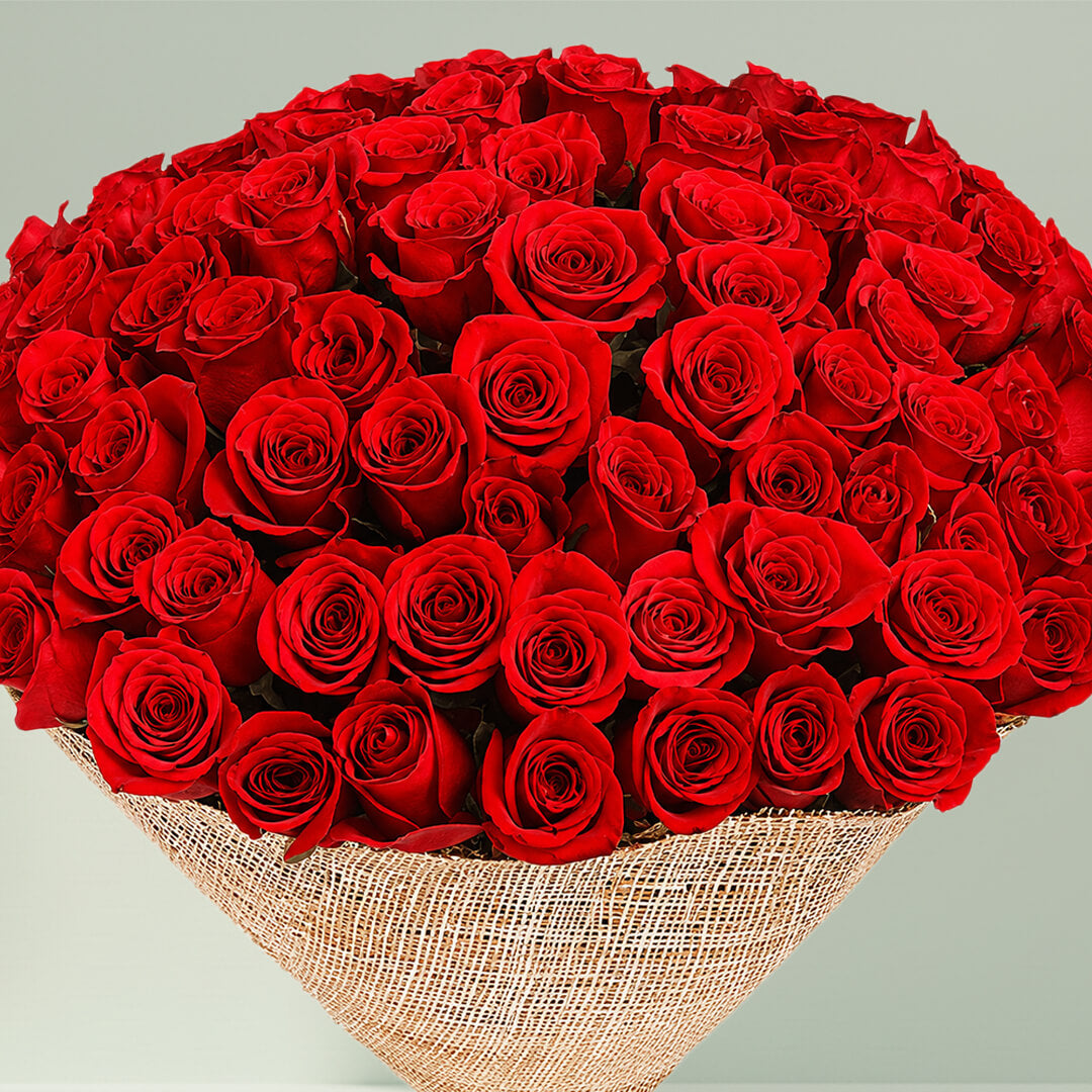 50 premium red roses bouquet for gifting