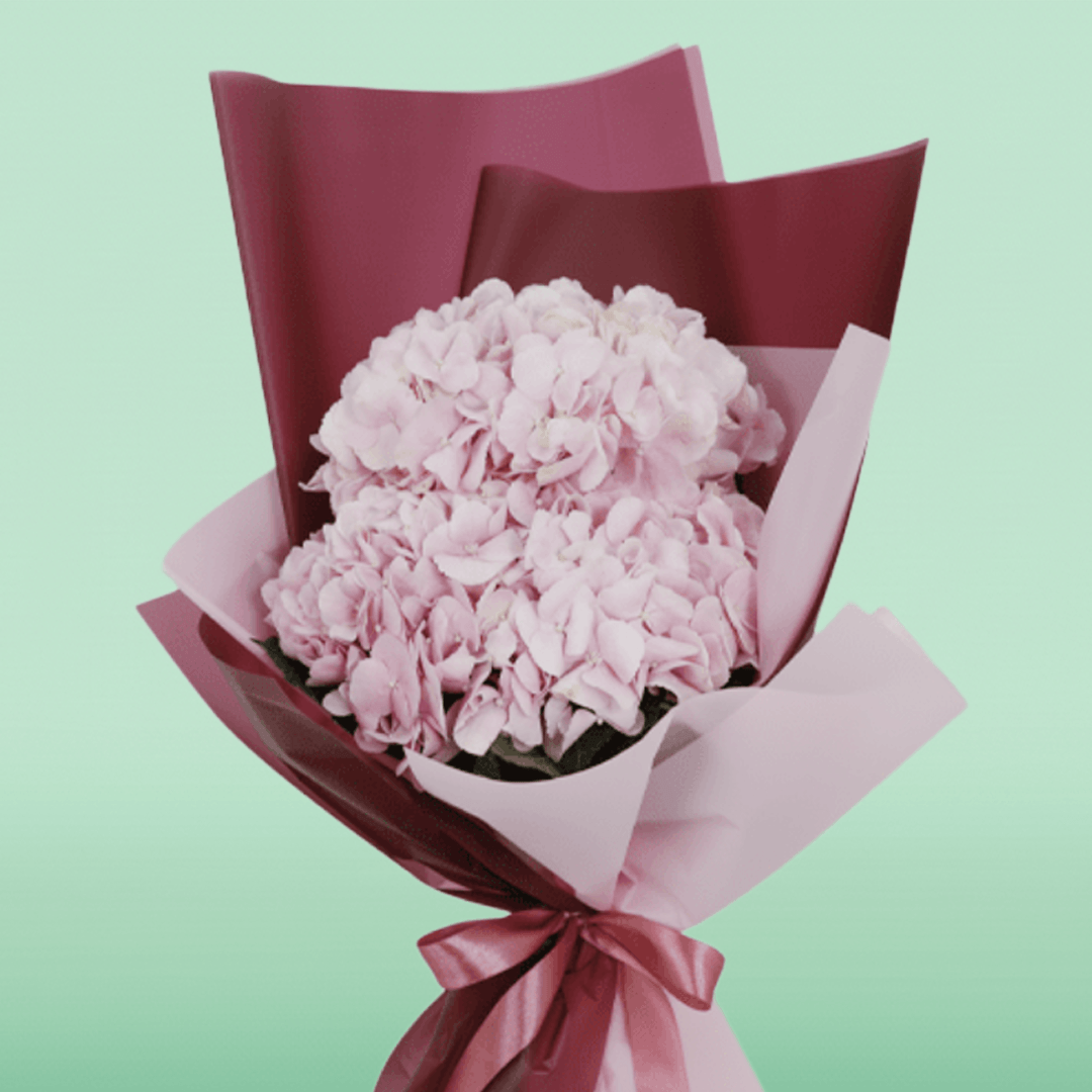 3 pink hydrangea bouquet wrapped in blush pink and burgundy non-woven paper