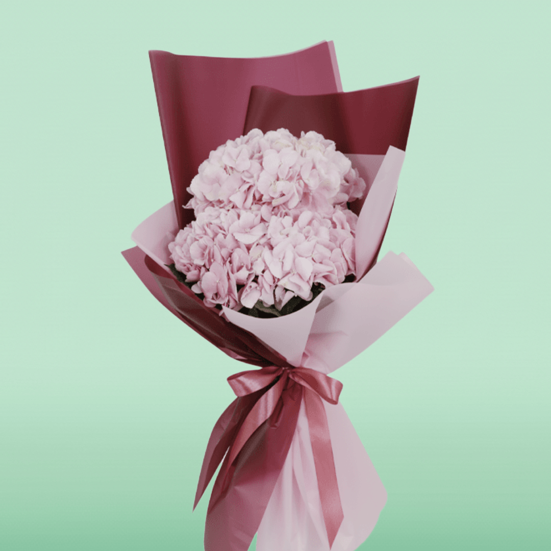 3 pink hydrangea bouquet wrapped in blush pink and burgundy non-woven paper