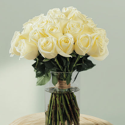 30 fresh white roses with vibrant green foliage are elegantly arranged in a transparent cylinder glass vase.