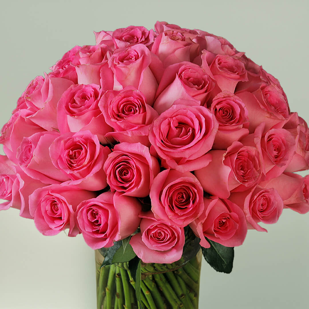 30 stems pink roses bunch bouquet for gifting