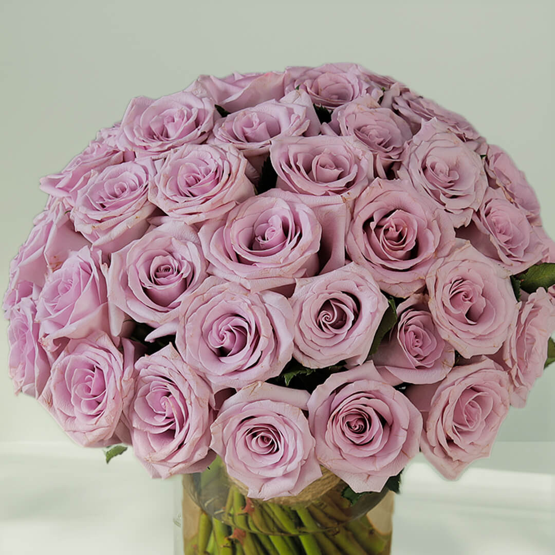 Bunch of purple roses arranged in a glass vase