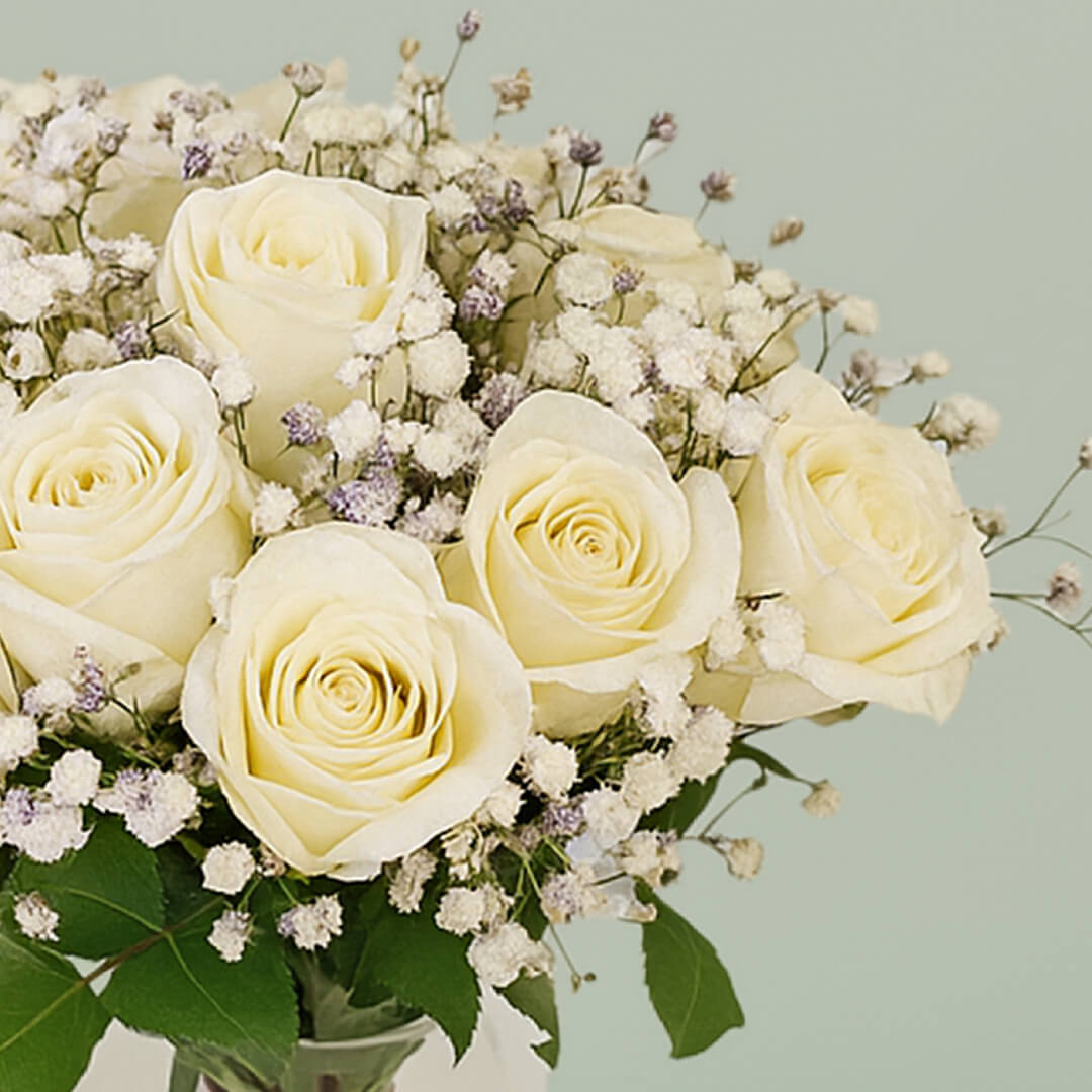 20 white roses with gypsophila arranged in a cylindrical glass vase.