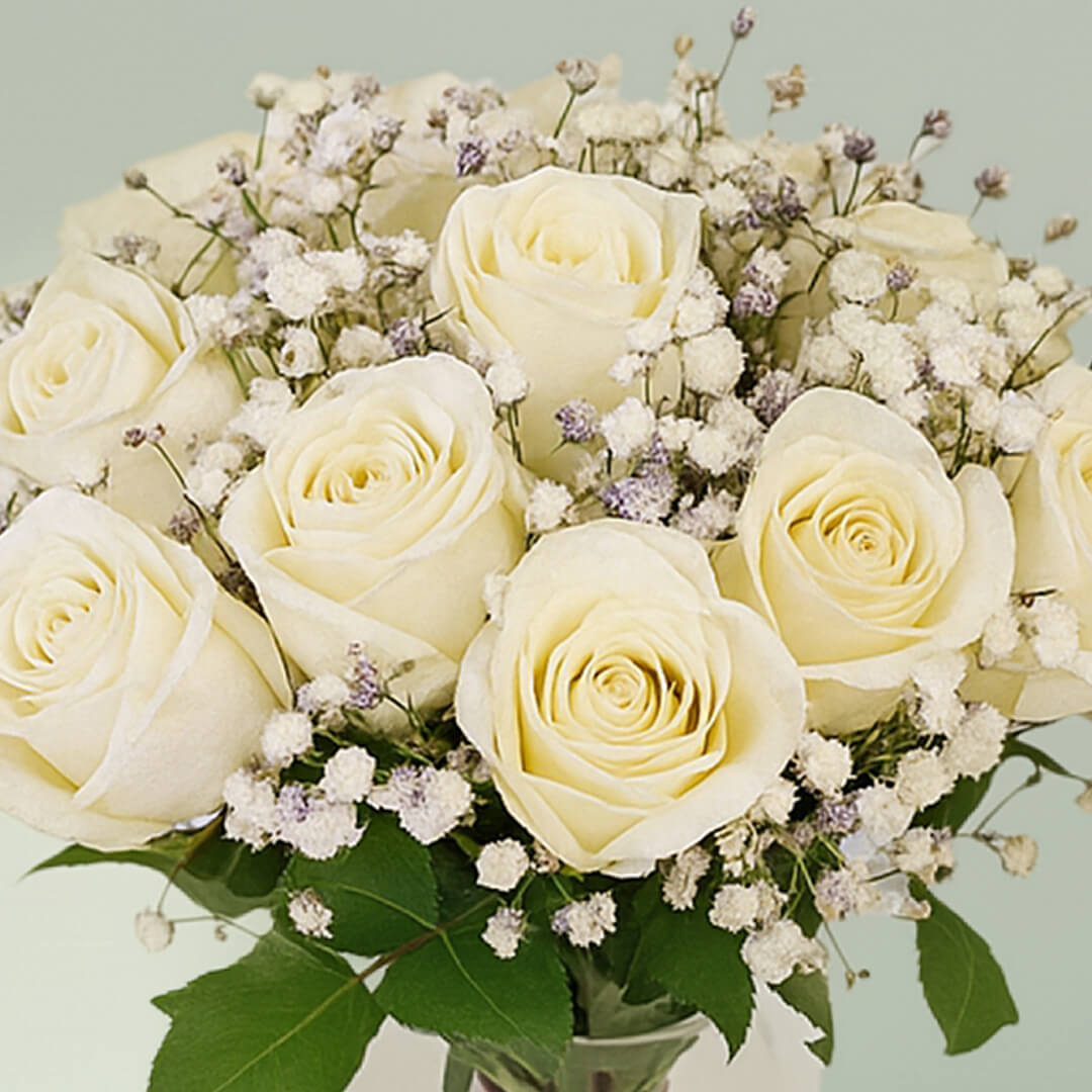 20 white roses with gypsophila arranged in a cylindrical glass vase.