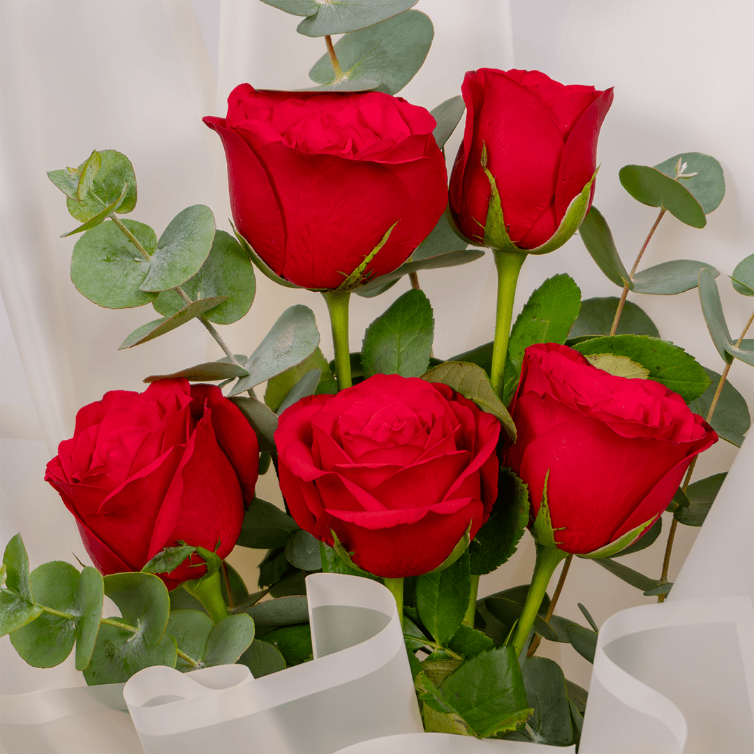Crimson Charm – 5 Red Rose Bouquet