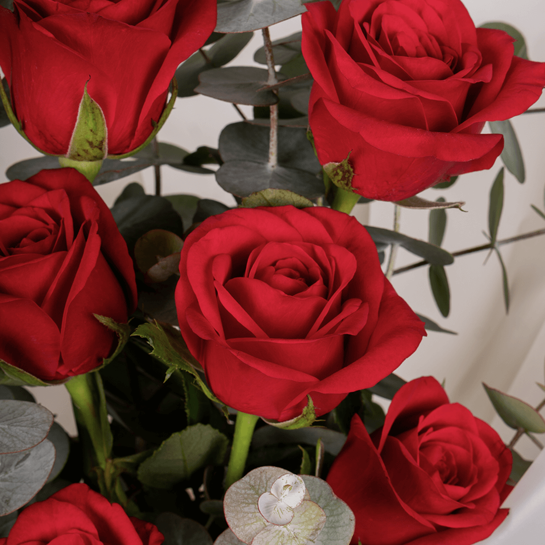 Bouquet of 8 pink roses with eucalyptus wrapped in non-woven paper.