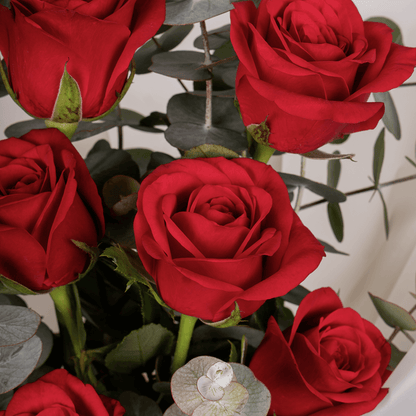 Bouquet of 8 pink roses with eucalyptus wrapped in non-woven paper.