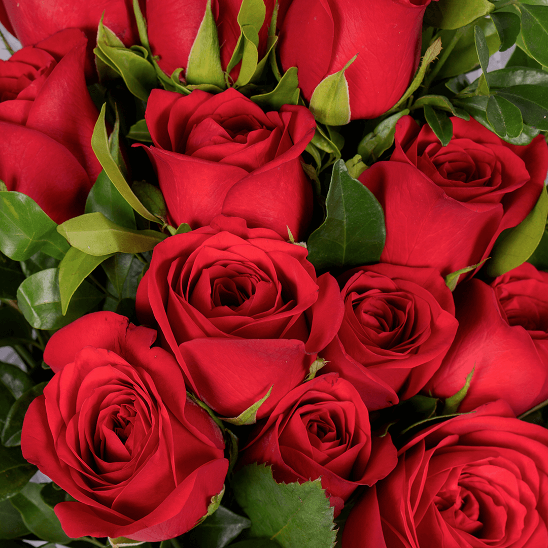 Red Roses Bouquet arranged with 12 red roses with fresh green foliage