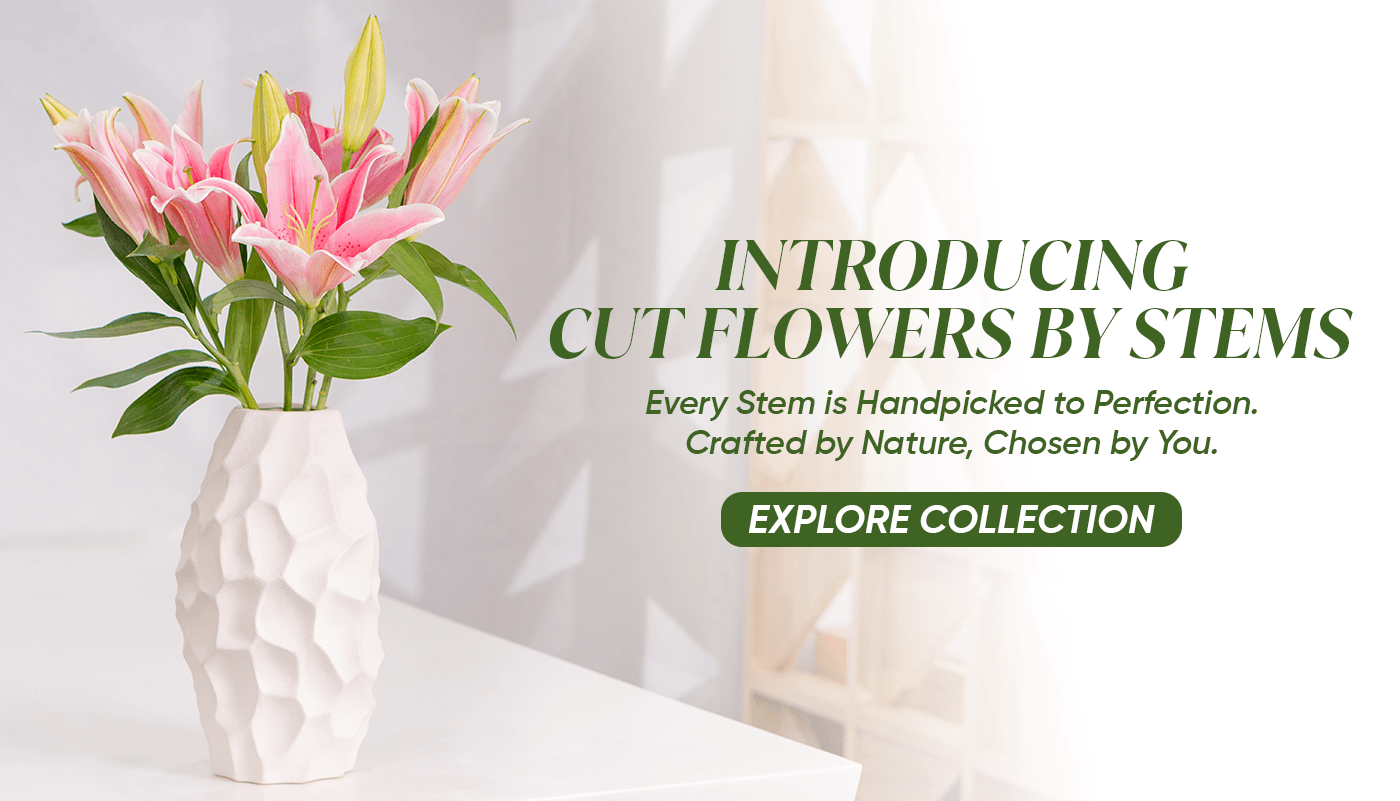 Cut Flowers