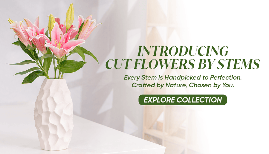 Cut Flowers