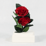Duo of Red - Preserved Rose