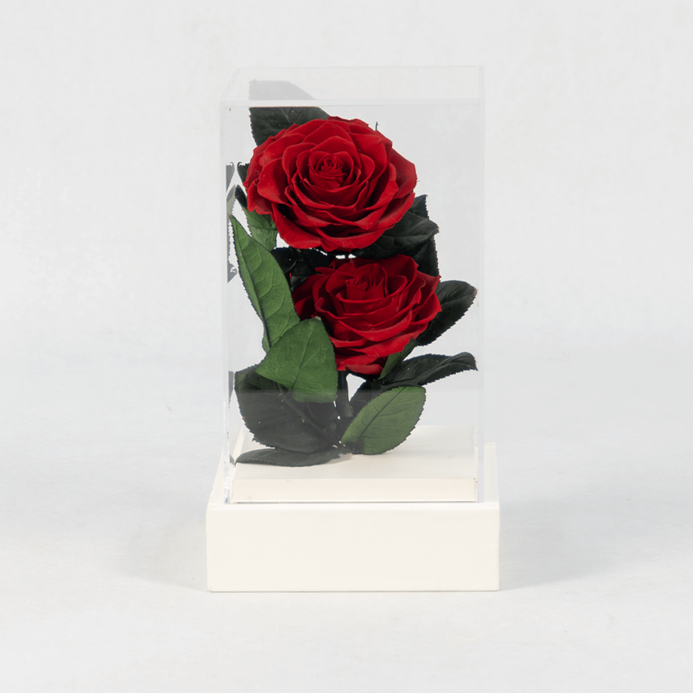 Preserved red roses in a acrylic box.