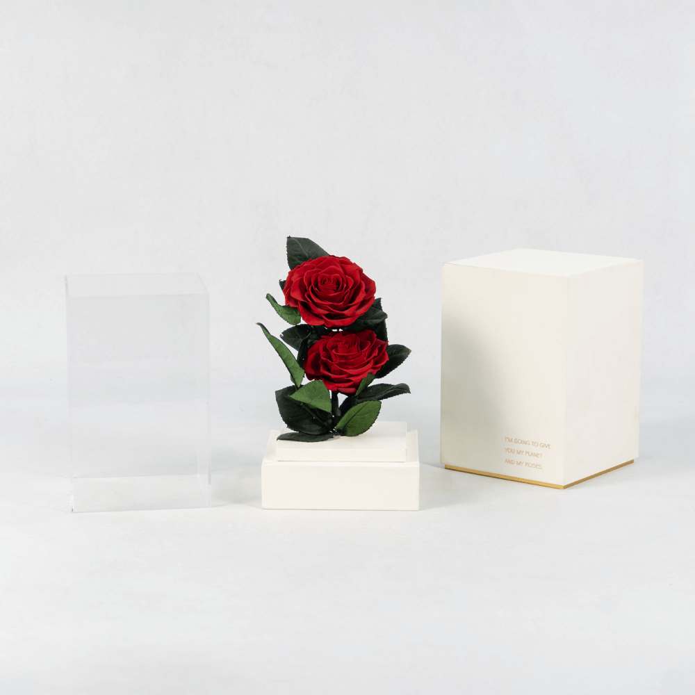 Preserved red roses in a acrylic box.