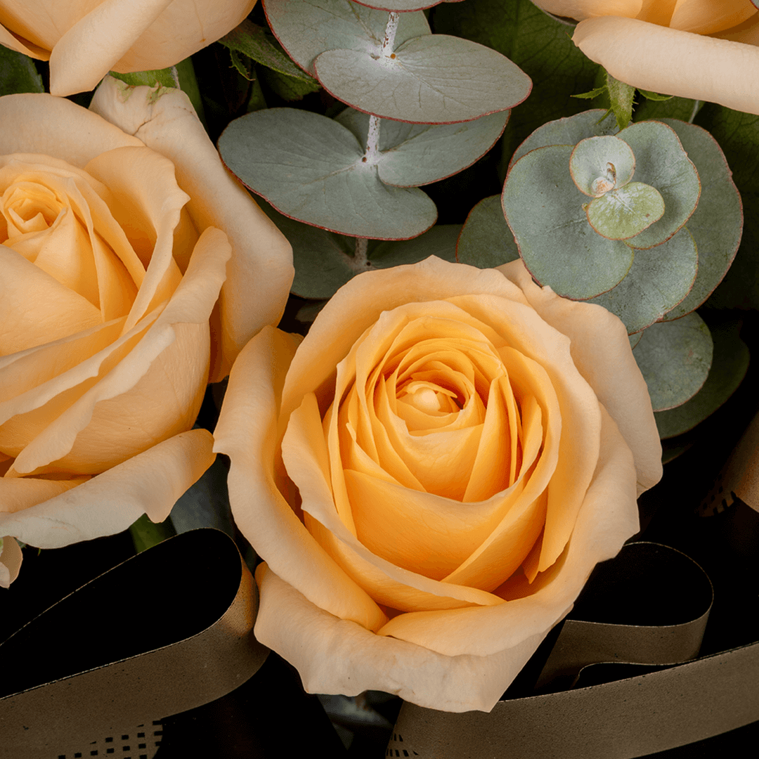 8 pink roses with gypsophila wrapped in pastel Korean floral paper.