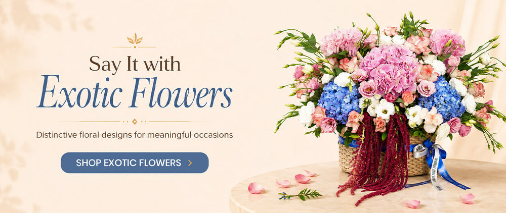 flower delivery rose