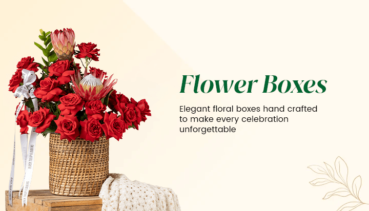 Box Flower Arrangements