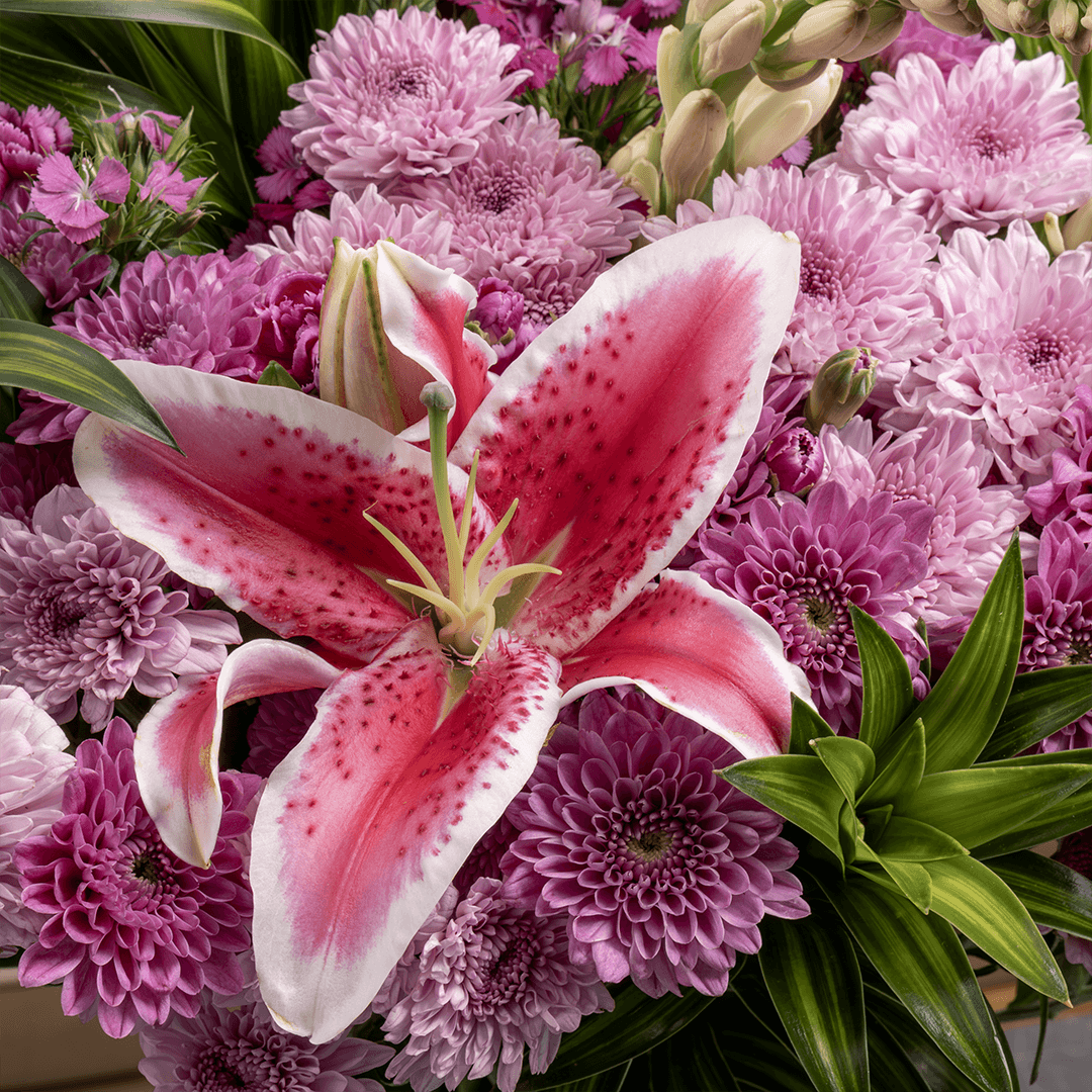 Fragrance - Flower Subscription - Image 6