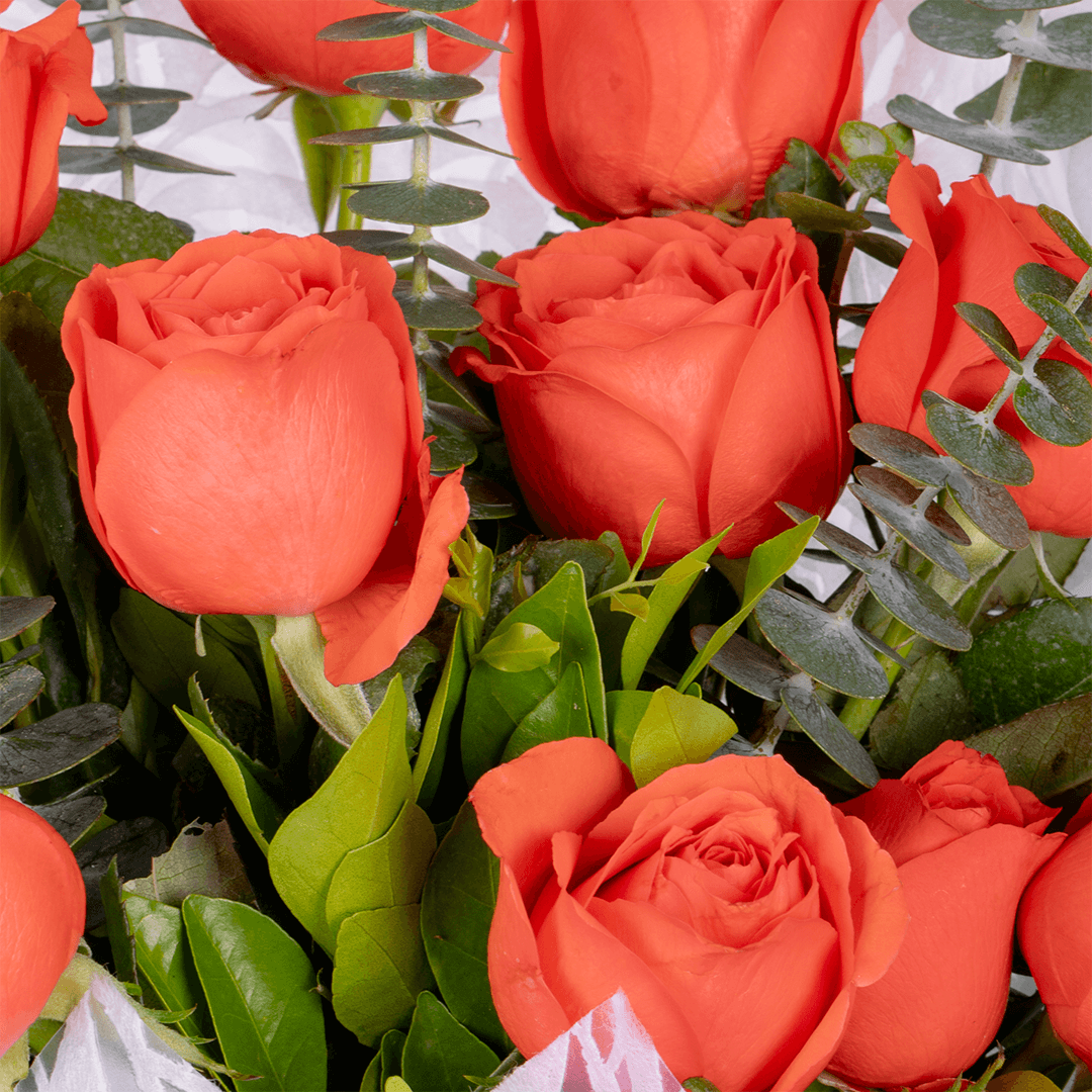 Orange Roses Bouquet arranged with 10 orange roses and eucalyptus