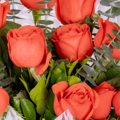 Orange Roses Bouquet arranged with 10 orange roses and eucalyptus