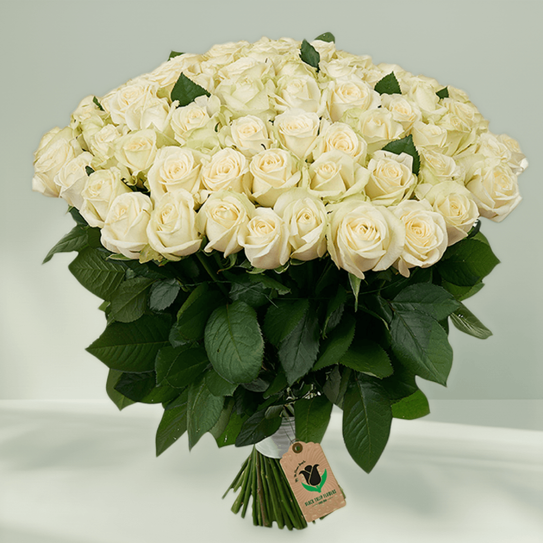 A hand-tied bouquet of 75 premium white roses.