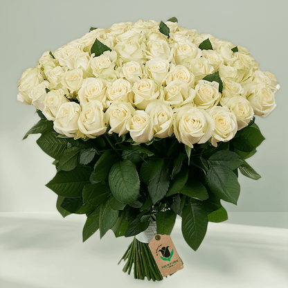 A hand-tied bouquet of 75 premium white roses.