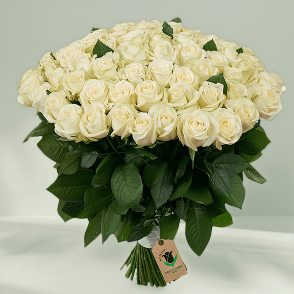 A hand-tied bouquet of 75 premium white roses.