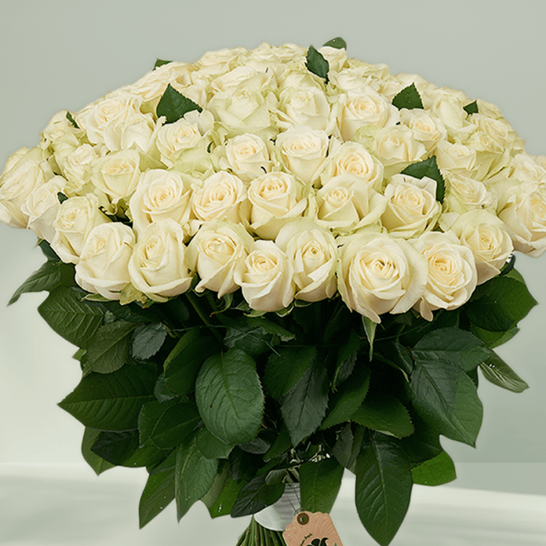 A hand-tied bouquet of 75 premium white roses.