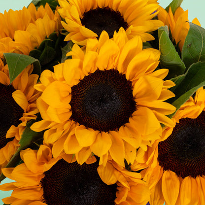Fresh yellow sunflowers with green leaves arranged in a woven basket