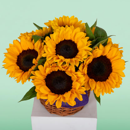 Fresh yellow sunflowers with green leaves arranged in a woven basket