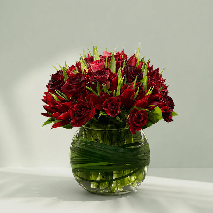 Lavish Red Tulip