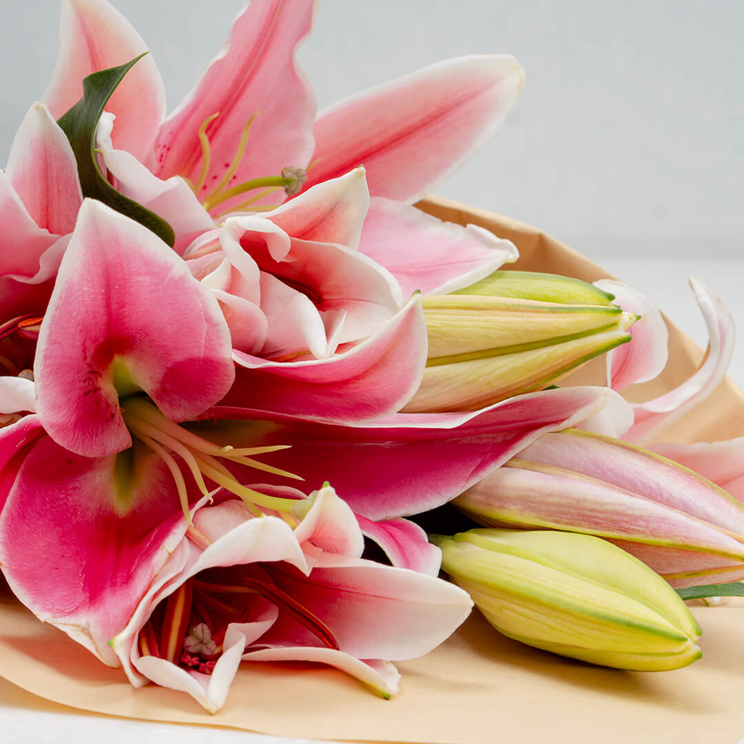 Lily flowers by stem
