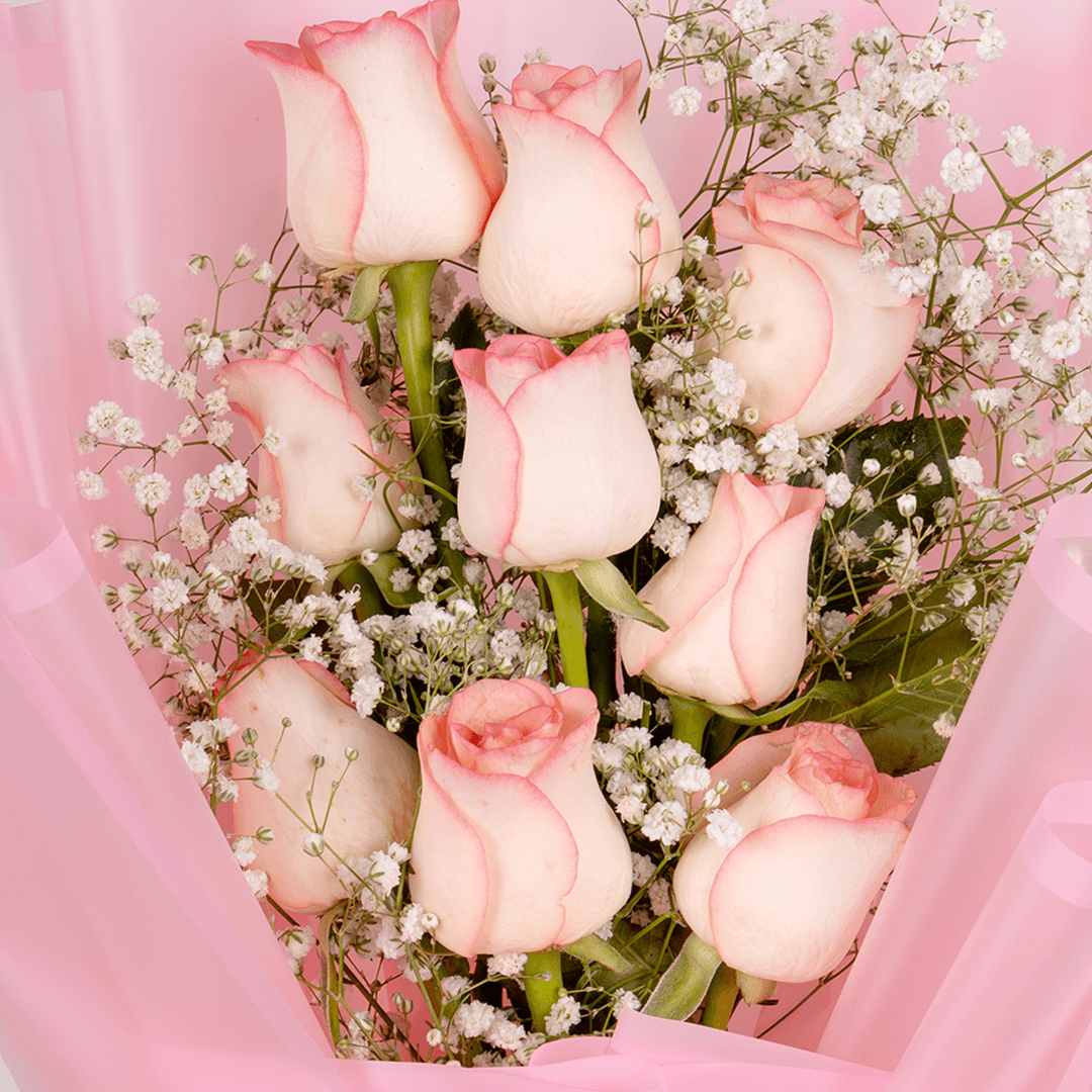 8 pink roses with gypsophila wrapped in pastel Korean floral sheet