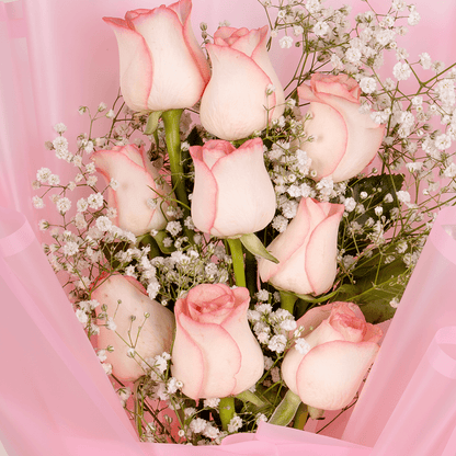 8 pink roses with gypsophila wrapped in pastel Korean floral sheet