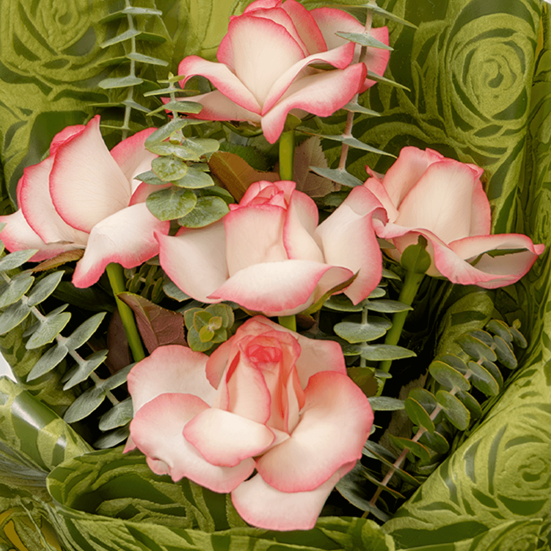 5 light pink roses bouquet with eucalyptus in green wrapping