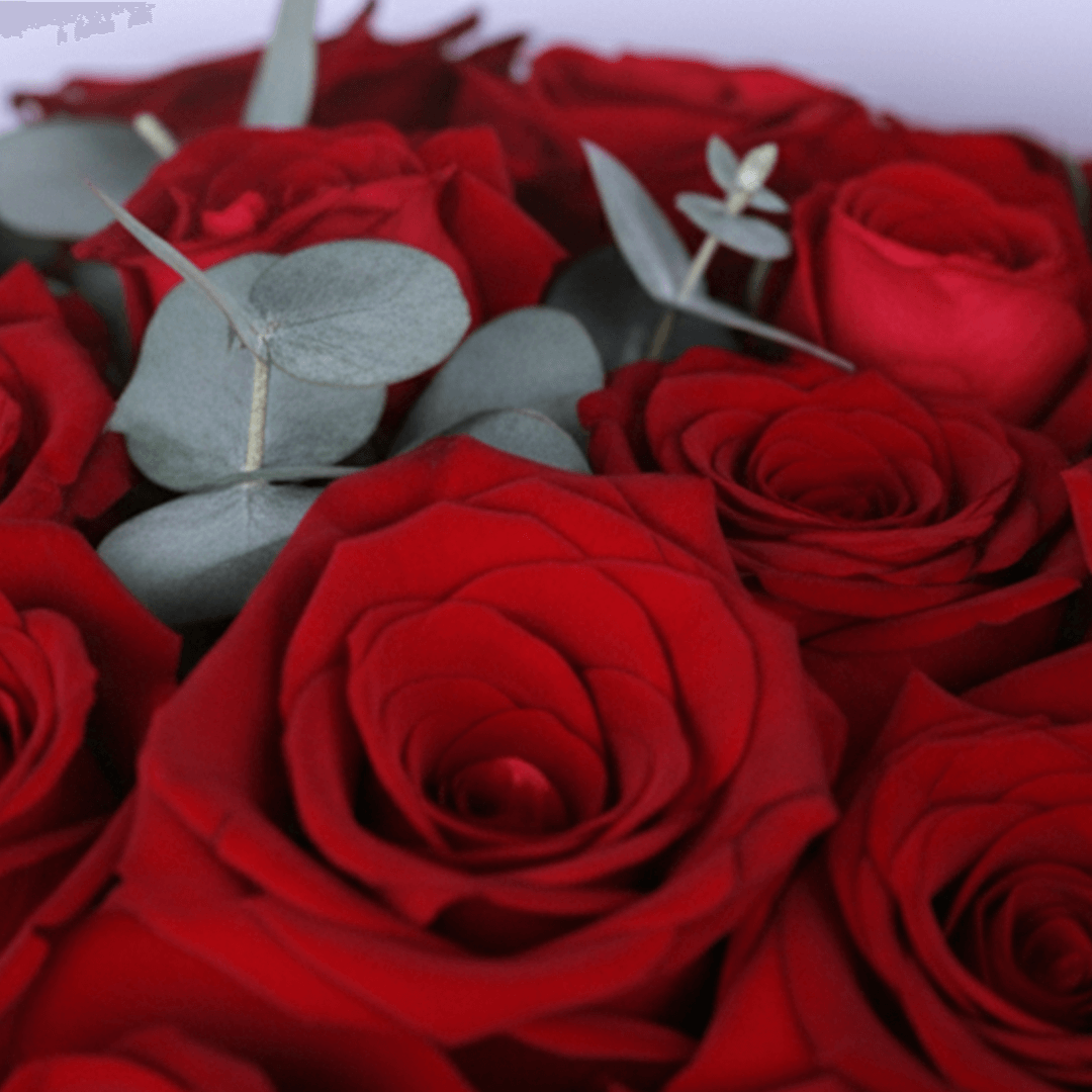 Love For You 25 Red Rose Bouquet arranged with 25 red roses and eucalyptus