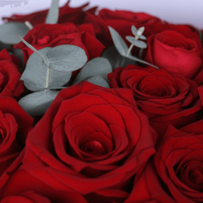 Love For You 25 Red Rose Bouquet arranged with 25 red roses and eucalyptus