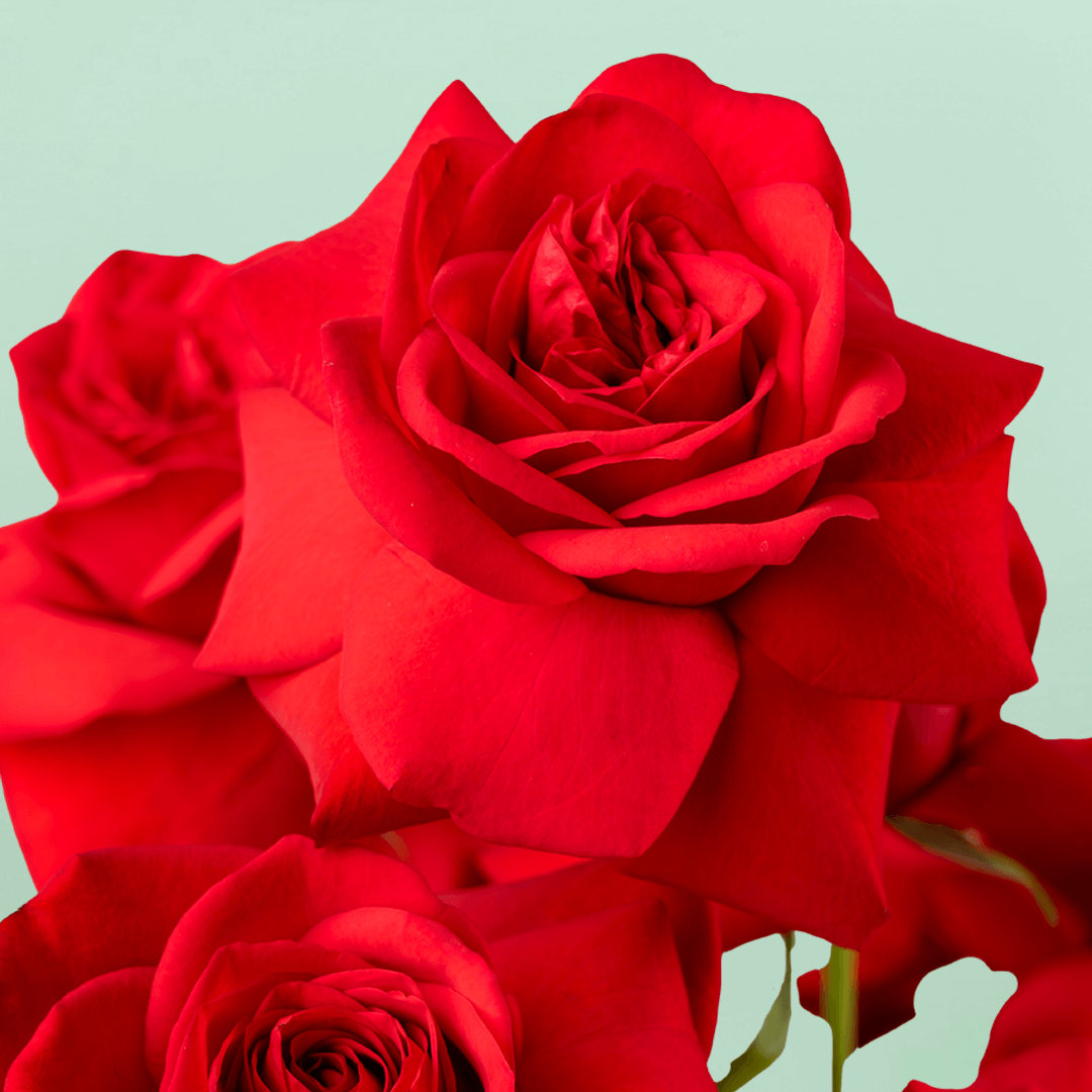 Lover’s Basket - Image 5