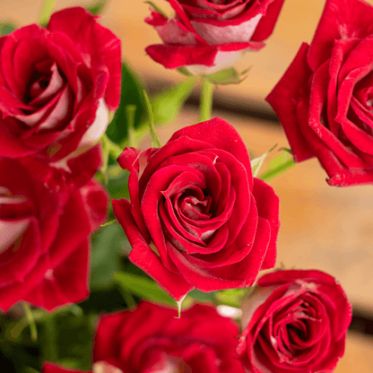 Love's Obsession - Image 5