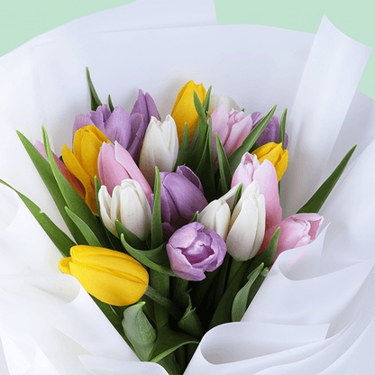Mixed fresh tulip bouquet with assorted colored tulips and elegant wrapping.