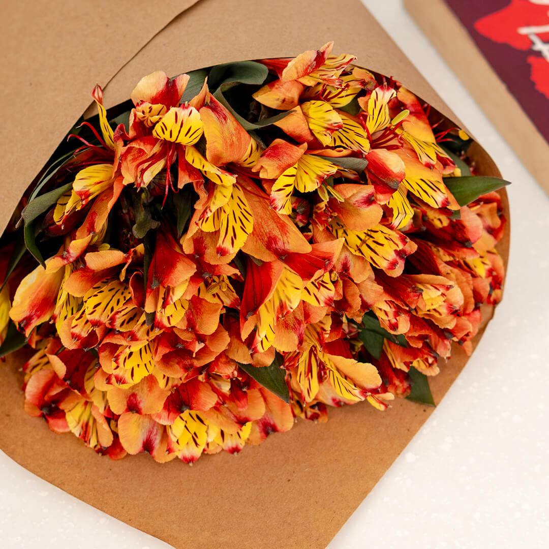 Alstroemeria Fresh Cut Flowers