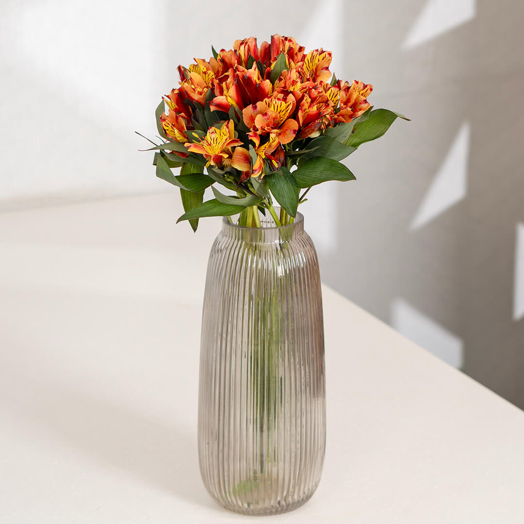 Alstroemeria Fresh Cut Flowers